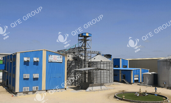 soybean oil machine plant